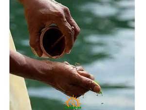 Aadi Amavasai Pitru Tharpana Sankalpa Mantras - 28 July 2022 | HinduPad